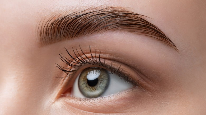 What Will Happen If I Put Vaseline on My Eyebrows