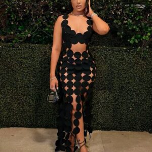 Weird Puss Hollow Dress 2025